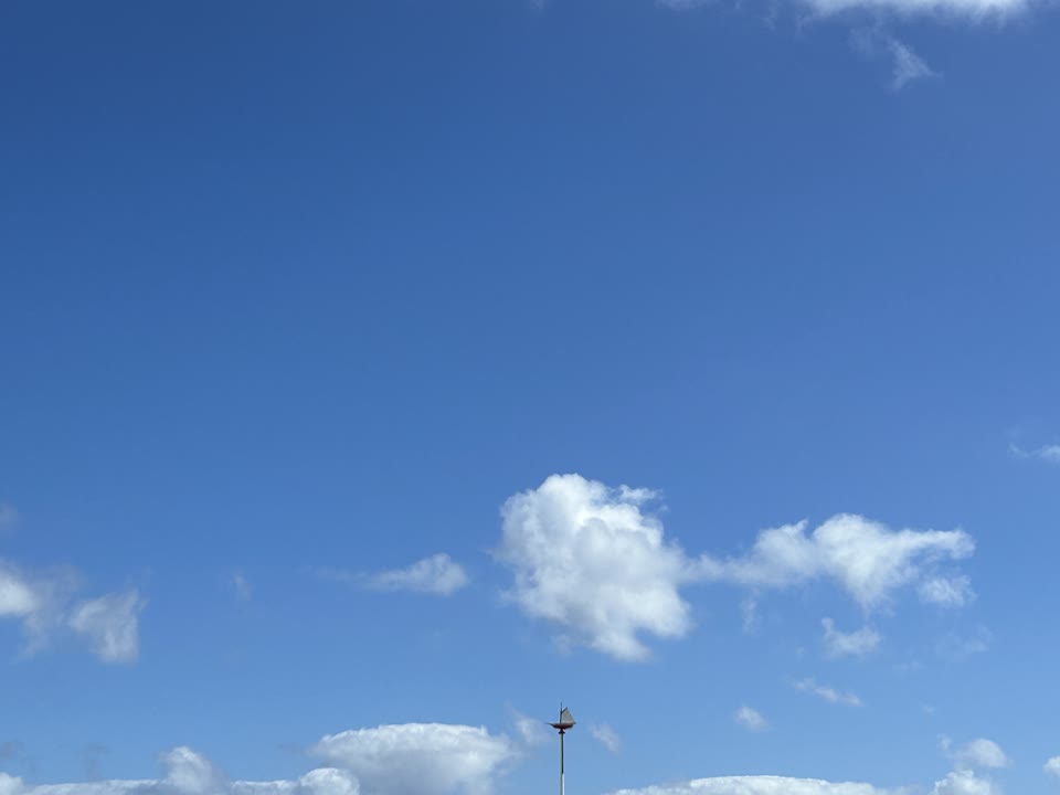el-vuelo-maritimo