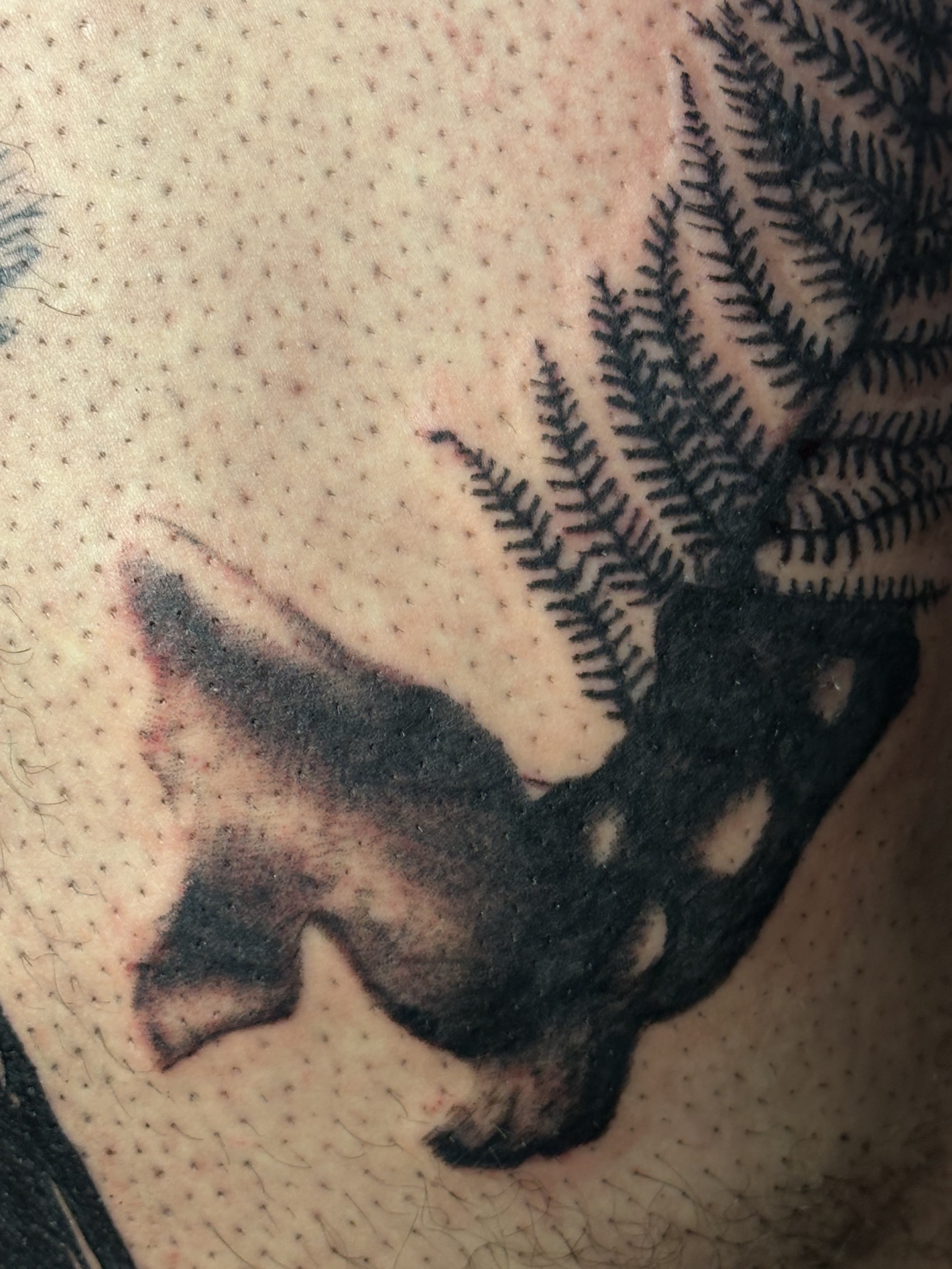 tattoo-4